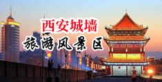 插日本少妇骚B中国陕西-西安城墙旅游风景区